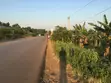 50 Decimals Kibanja Land at Luswa Main Tarmac - 1