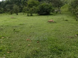 16 Acres Farmland for Sale in Kabuga, Kamwenge