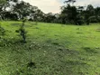 16 Acres Farmland for Sale in Kabuga, Kamwenge - 2