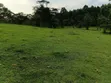 16 Acres Farmland for Sale in Kabuga, Kamwenge - 3