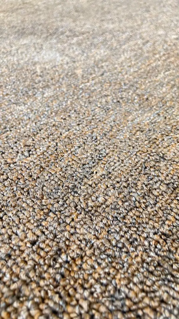 Sitting Room Carpets Per Square Meter - 1