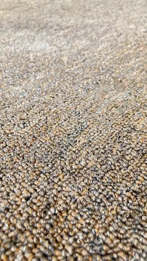 Sitting Room Carpets Per Square Meter
