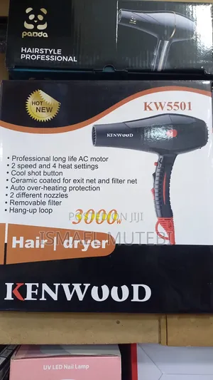 Professional Hair Dryer for Salons