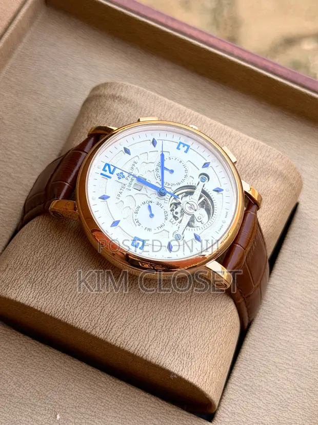 Patek Philippe Automent-Brown Head Watch - 1