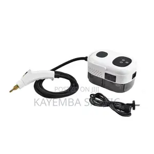 2500W Portable High Pressure Handheld Steam Cleaner