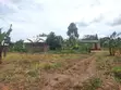118 Acres Agricultural Land for Sale in Lukasa Village, Nakaseke - 3