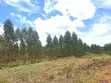 118 Acres Agricultural Land for Sale in Lukasa Village, Nakaseke - 4