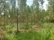 118 Acres Agricultural Land for Sale in Lukasa Village, Nakaseke - 5