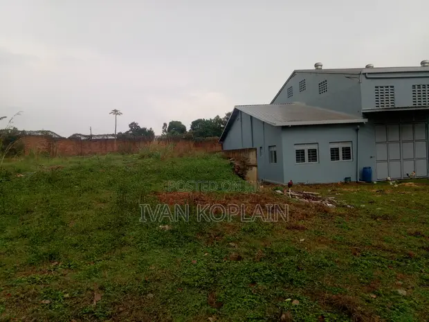 Warehouse for Rent in Buloba - 1