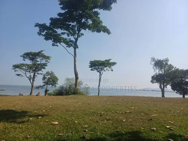 Plots Direct on Lake, Busabaala - Quick Sale - 1
