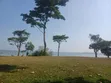 Plots Direct on Lake, Busabaala - Quick Sale - 1