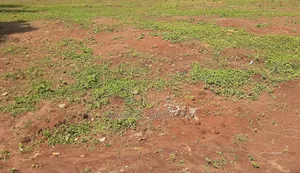 Land for Sale - Jagala-Kavule, Semuto Rd
