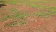 Land for Sale - Jagala-Kavule, Semuto Rd - 1