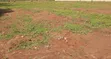 Land for Sale - Jagala-Kavule, Semuto Rd - 2