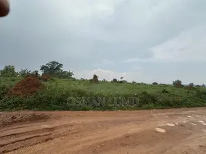 Commercial Land for Sale - 35 Acres