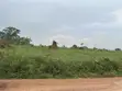 Commercial Land for Sale - 35 Acres - 4