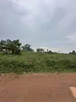 Commercial Land for Sale - 35 Acres - 5