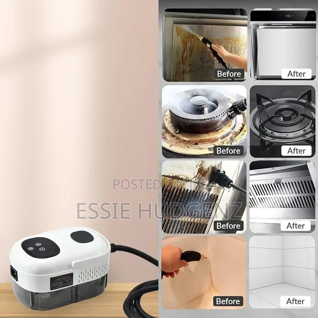 2500W Portable Steam Cleaner for Home & Car - 1