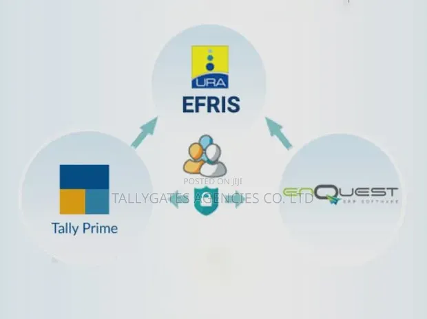 EFRIS Integration Services for Businesses - 1