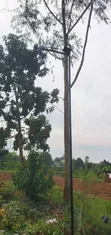 Solar Camera Mounted on Pole - 1
