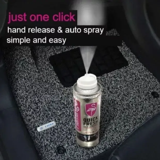 Car Air Conditioner Quick Fresh Deodorizer - 1