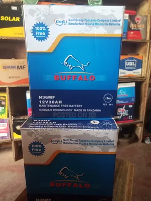 N36 MF Buffalo Battery - 36AH with Indicator
