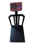 Heavy Duty Digital Platform Scale (350 Kgs) - 1