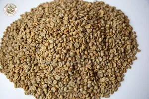 1KG Premium Dry Arabica Coffee Beans