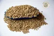 1KG Premium Dry Arabica Coffee Beans - 2