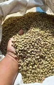 1KG Premium Dry Arabica Coffee Beans - 4