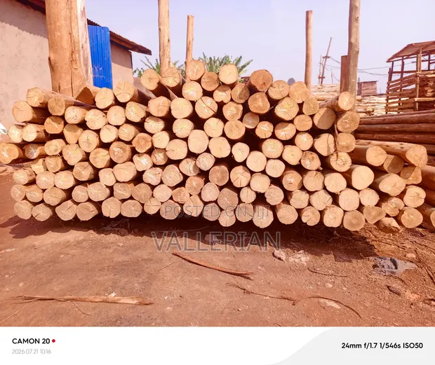 Roofings Group Rafters for Building - 1