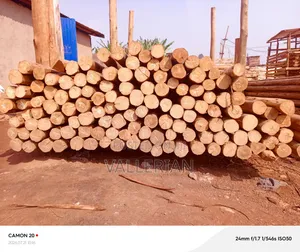 Roofings Group Rafters for Building