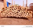 Roofings Group Rafters for Building - 1