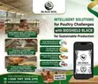 Bio-Shield Feed Supplement - 3