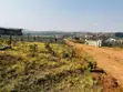 Plots for Sale, Mbarara Northern Bypass - 4