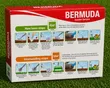 Bermuda Lawn Grass Seeds 500g - 2