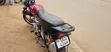TVS HLX 125 2025 Red - 3