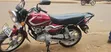 TVS HLX 125 2025 Red - 4