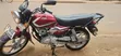 TVS HLX 125 2025 Red - 5