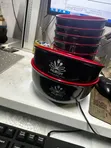 Engraving and Prints by Skyfocus Productions - 1