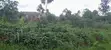 Land for Sale: 100x80ft at Canaan Estate, Kabembe, Mukono - 1