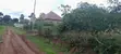 Land for Sale: 100x80ft at Canaan Estate, Kabembe, Mukono - 2