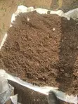 Compost Fertilizer - 2