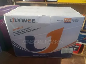 Ulywee N70 70Ah Battery