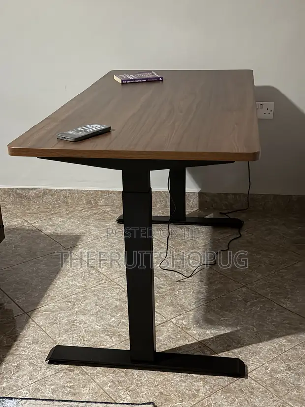 Single Motor Electric Adjustable Standing Desk - 1
