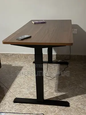 Single Motor Electric Adjustable Standing Desk
