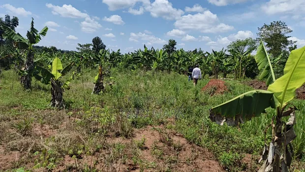 120 Acres Farmland for Sale in Kayunga Kitwe - 1