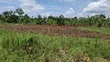120 Acres Farmland for Sale in Kayunga Kitwe - 2