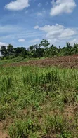 120 Acres Farmland for Sale in Kayunga Kitwe - 4