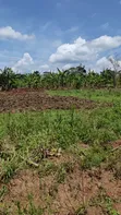 120 Acres Farmland for Sale in Kayunga Kitwe - 5